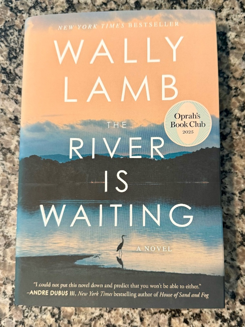 River Is Waiting (Oprah's Book Club) : A Novel by Wally Lamb (2025, Hardcover)